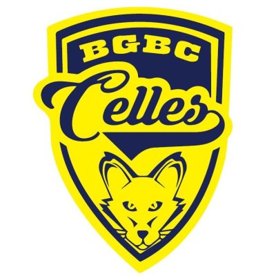 BLUE AND GOLD BASKET CLUB CELLES